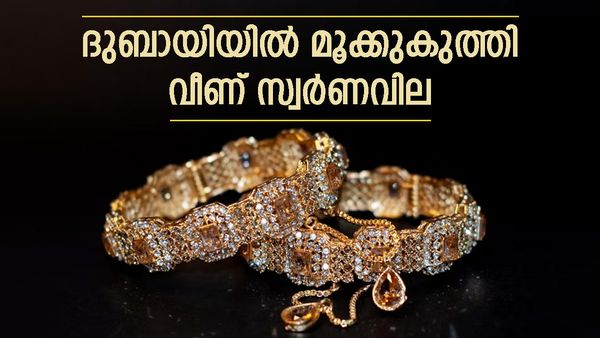 മണിക്കൂറുകള്‍ക്കുള്ളില്‍ ഇടിഞ്ഞുവീണ് സ്വര്‍ണവില... രണ്ടാഴ്ചത്തെ ഏറ്റവും വലിയ വിലക്കുറവില്‍!