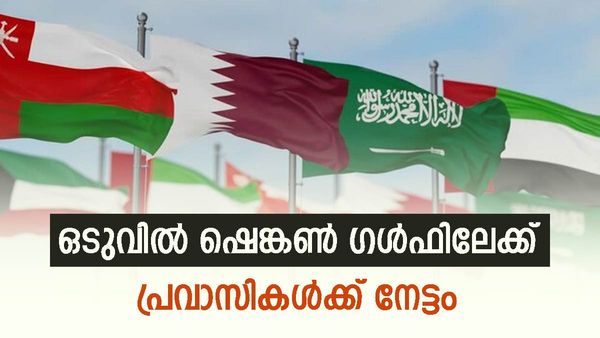 യുഎഇ, സൗദി, ഖത്തര്‍ യാത്രയ്ക്ക് പ്രത്യേകം വിസ വേണ്ട; ഷെങ്കണ്‍ മോഡല്‍ ഈ വര്‍ഷം തന്നെ