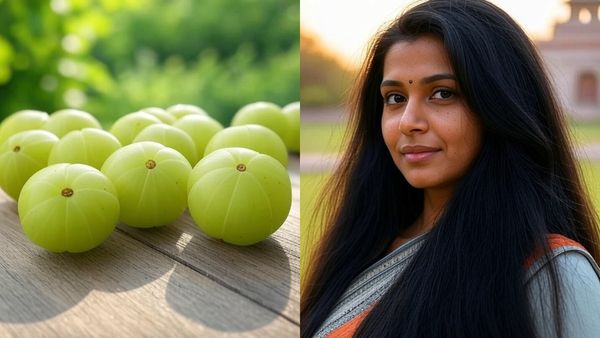 നെല്ലിക്ക കുഞ്ഞനാണെങ്കിലും ഒരു സംഭവമാണ്, മുടി പനങ്കുല പോലെ വളർത്താം, ഇങ്ങനെ ചെയ്താൽ മാത്രം മതി