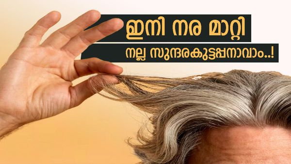 മുടി നരയ്ക്കുന്നത് കണ്ടിട്ട് സഹിക്കുന്നില്ലേ? 90സ് കിഡ്‌സ് വിഷമിക്കേണ്ട, ഈ പ്രകൃതിദത്ത ഔഷധങ്ങൾ സഹായിക്കും..!