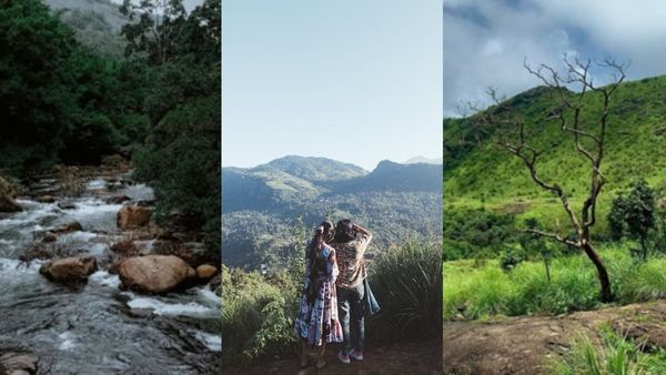 കക്കാടംപൊയിലിൽ മഴയും കോടയും വേറെ വൈബാണ്; എങ്ങനെ പോകാം? ബസ് സമയം, എന്തൊക്കെ കാണാം എല്ലാം അറിയാം