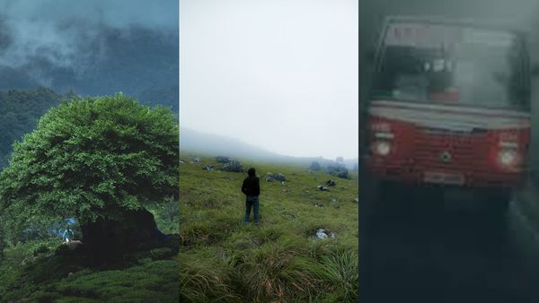 പൊൻമുടി കയറാം,മഴയിൽ കുളിച്ച് കോടമഞ്ഞിലൂടെ മലകയറാം, ആനക്കുളി കണ്ട് വരാം; 590 രൂപ മുതൽ മഴയാത്ര പാക്കേജ്