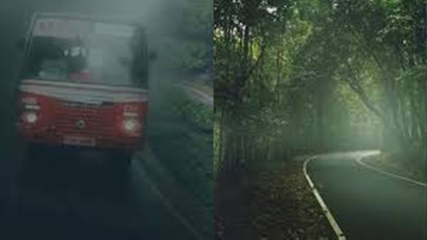 മഴയത്തൊരു മലക്കപ്പാറയ യാത്ര പിടിച്ചാലോ? 800 രൂപയുണ്ടെങ്കിൽ കെഎസ്ആർടിസിയിലൊരു കിടിലൻ പാക്കേജ്