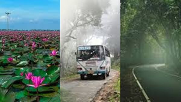മഴ വൈബ് പിടിച്ച് മലരിക്കലേക്ക് പോകാം, മലക്കപ്പാറയിലേക്കും കെഎസ്ആർടിസി പാക്കേജ്