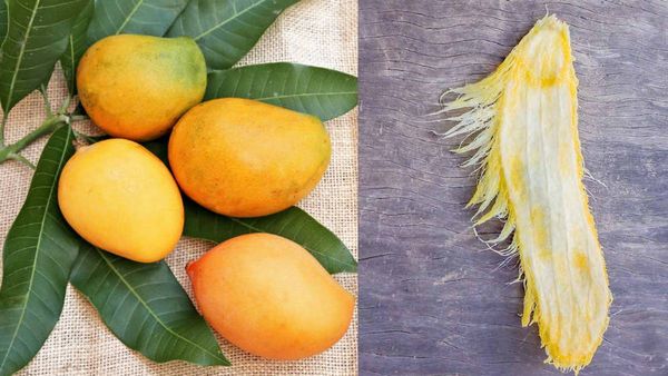 മാങ്ങാണ്ടി കൊണ്ട് എണ്ണയോ; അതും മുടി വളരാന്‍: ചെലവോ തുച്ഛം; ഗുണമോ മെച്ചം