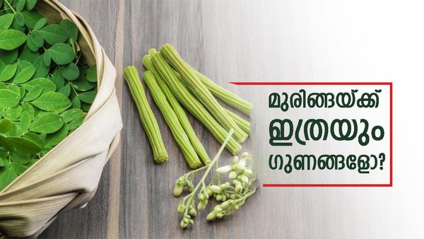 രക്തക്കുറവ് കൊണ്ട് ബുദ്ധിമുട്ടിയോ? ഇനി ഒട്ടും ടെൻഷൻ വേണ്ട, മുരിങ്ങ ഉണ്ടെങ്കിൽ പിന്നെ പെട്ടെന്ന് ശരിയാവും