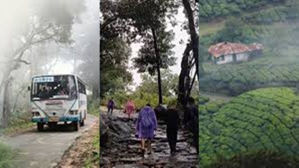 മഴയിൽ ചുരം കയറി നെല്ലിയാമ്പതിയിലേക്ക്, 480 രൂപയുടെ പാക്കേജുമായി കെഎസ്ആർടിസി; മാമലക്കണ്ടം വഴി മൂന്നാറിലേക്കും