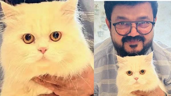 നാദിര്‍ഷയുടെ പേര്‍ഷ്യന്‍ പൂച്ചയുടെ മരണം; പോസ്റ്റ്‌മോര്‍ട്ടം റിപ്പോര്‍ട്ട് പുറത്ത്: മരണകാരണം ഇതാണ്