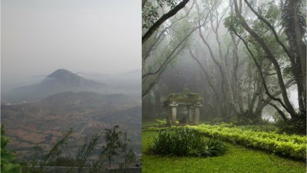 ലാപ്‌ടോപ്പിന്റെ ചൂടില്‍ നിന്ന് ഈറനണിഞ്ഞ തേയിലത്തോട്ടങ്ങളിലേക്ക് ഒരു യാത്ര; അതും ഐടി നഗരത്തിന്റെ തൊട്ടരികെ