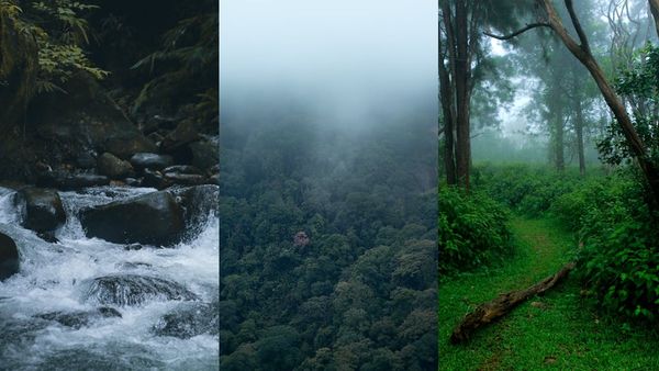 പൈതൽമലയിലെ കോടയും മഴയും കാണാൻ പോകാം? ഏഴരക്കുണ്ട് വെള്ളച്ചാട്ടവും പാലക്കയം തട്ടും കാണാം; പാക്കേജ്