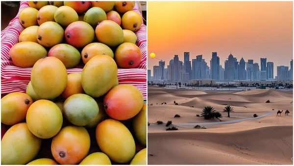 ഖത്തര്‍ രുചിമേളം ഒരുക്കുന്നു; ദോഹയില്‍ ഇന്ത്യന്‍ മാമ്പഴങ്ങള്‍ നിറയും, അപൂര്‍വ അവസരം