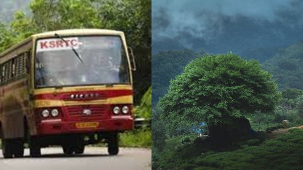 സൈലന്റ് വാലി; മഴക്കാട്ടിലെ സവാരി, കോട നിറഞ്ഞ ഗവിയും നിലമ്പൂരും; കെഎസ്ആർടിസി പാക്കേജ്
