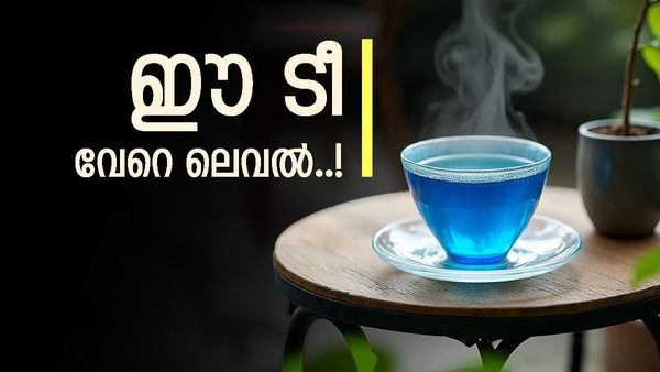 ബ്ലൂ ടീ കണ്ടാൽ ആരും കുടിച്ചുപോവും; ഭംഗി മാത്രമല്ല എണ്ണമറ്റ ഗുണങ്ങളും സ്വന്തം! എന്തൊക്കെ എന്നറിയണ്ടേ? 