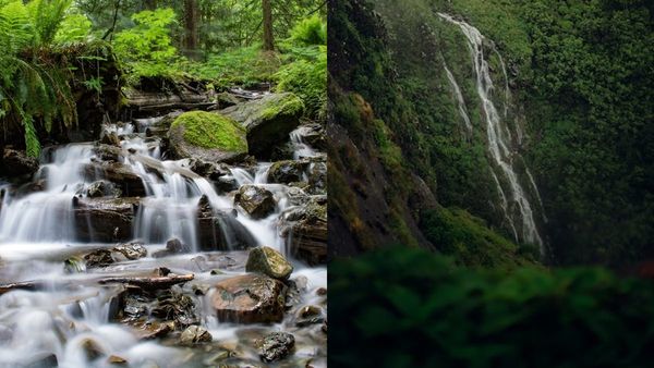 തൊമ്മൻകുത്ത് വെള്ളച്ചാട്ടം, തേക്കടി, വാഗമൺ.. മഴ വൈബ് പിടിച്ച് ഇടുക്കിയിലൂടൊരു യാത്ര പോകാം