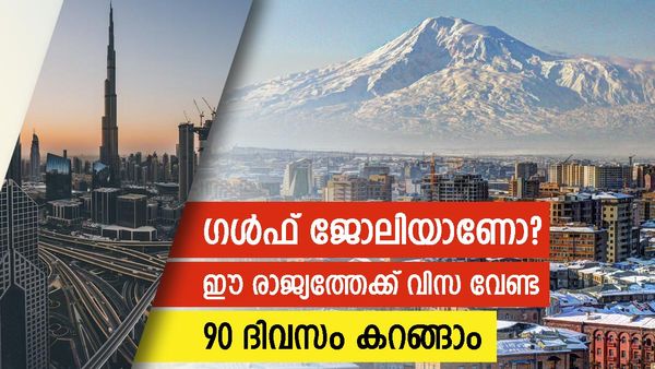 പ്രവാസികള്‍ക്ക് 90 ദിവസം അര്‍മാദിക്കാം; ഈ രാജ്യത്തേക്ക് വിസ വേണ്ട, ഗള്‍ഫ് ജോലിക്കിടെ...