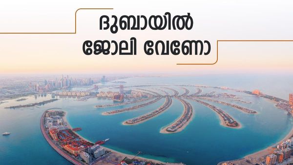 ദുബായില്‍ വമ്പന്‍ ജോലി അവസരം... 17300 ഒഴിവുകള്‍; ശമ്പളത്തിന് പുറമെ വിമാന ടിക്കറ്റും മറ്റ് ആനുകൂല്യങ്ങളും