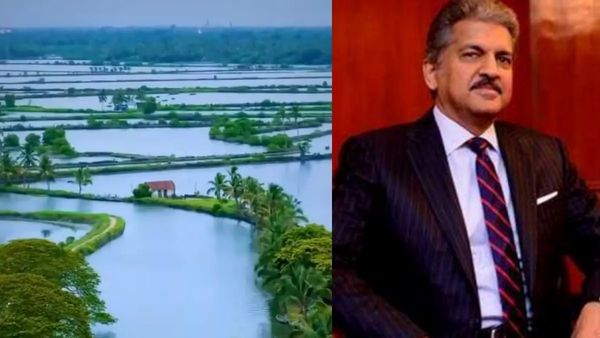 ആനന്ദ് മഹീന്ദ്രയുടെ ബക്കറ്റ് ലിസ്റ്റില്‍ ഇടംപിടിച്ച സ്ഥലം. അതീ കൊച്ചു കേരളത്തിലാണ്: അഭിനന്ദിച്ച് നെറ്റിസണ്‍സ്