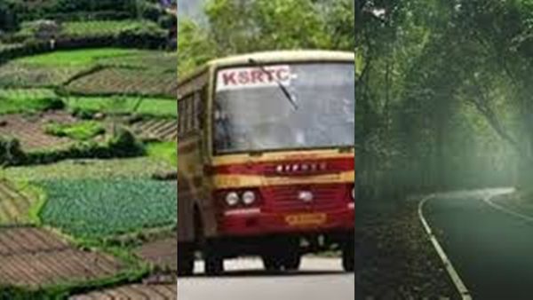 760 രൂപയുണ്ടോ? ഈ കോടമൂടിയ ഈ ഹിൽസ്റ്റേഷനിലേക്ക് പോകാം; മഴ പൊളിക്കാൻ വേറേയും പാക്കേജുകൾ