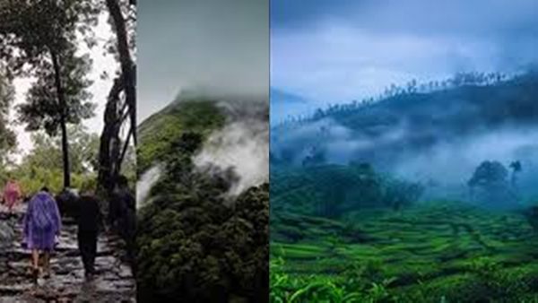 മഴ, കോട മഞ്ഞ്, വെള്ളച്ചാട്ടം; ഓഗസ്റ്റിൽ കേരളത്തിൽ നിർബന്ധമായും കണ്ടിരിക്കേണ്ട സ്ഥലങ്ങൾ