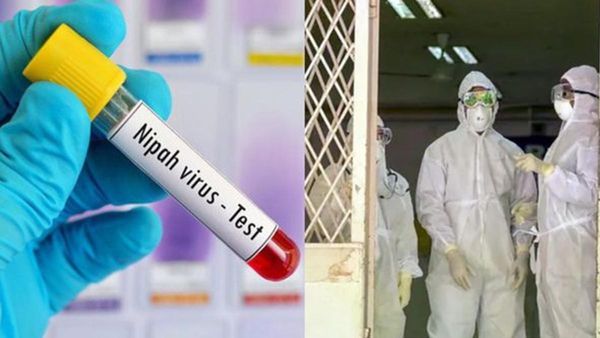 വീണ്ടും ഭീതി പടർത്തി നിപ: കോഴിക്കോട് ഉള്‍പ്പെടെ മൂന്ന് ജില്ലകളില്‍ ജാഗ്രത നിർദേശം