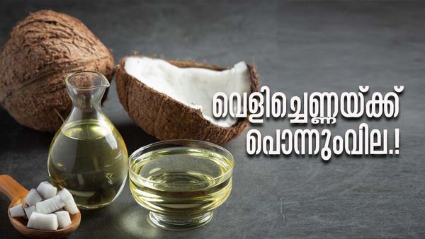 കത്തിക്കയറി വെളിച്ചെണ്ണ, വില 500 കടന്നു, തേങ്ങയ്ക്കും ചിരട്ടയ്ക്കും കൊപ്രയ്ക്കും പൊന്നുംവില.!