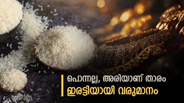 സ്വര്‍ണമല്ല.. ഇപ്പോള്‍ താരം അരിയാണ്, വരുമാനം കുത്തനെ കൂടി, ഓഹരി വിപണിയിലും നേട്ടം!