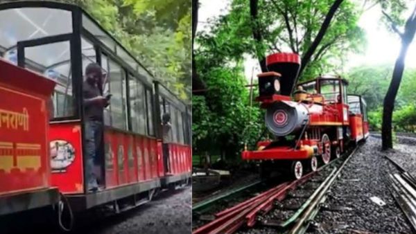 കാടിന്റെ നടുവിലൂടെ ടോയ് ടെയിനില്‍ പോകാം; വന്യ മൃഗങ്ങളെ തൊട്ടടുത്തു കാണാം: വിശദാംശങ്ങള്‍