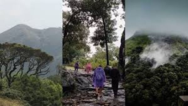 കാടും മലനിരകളും പുഴയും.. ആഘോഷിക്കാൻ റിസോർട്ടിലൊരു ക്യാമ്പ് ഫയറും; കെഎസ്ആർടിസിയുടെ പാക്കേജ്