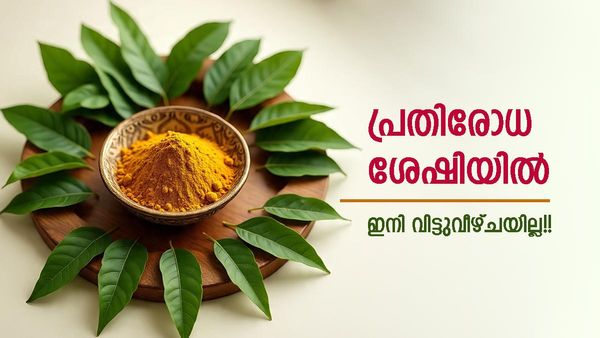 മഴക്കാലമല്ലേ, ആരോഗ്യം ശ്രദ്ധിക്കണ്ടേ? ഈ ആയുർവേദ കൂട്ടുകൾ മാത്രം മതി, ഇനി രോഗങ്ങൾ അടുക്കുക പോലുമില്ല!!