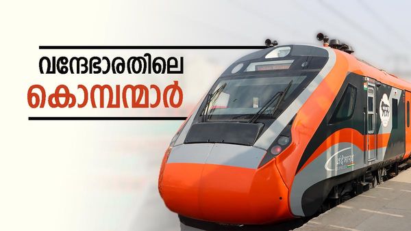 വന്ദേഭാരത് എക്‌സ്പ്രസിലും കൊമ്പന്മാരുണ്ട്; ഈ റൂട്ടിലാണ് സര്‍വീസുകള്‍, ടിക്കറ്റ് നിരക്ക് അറിയാം