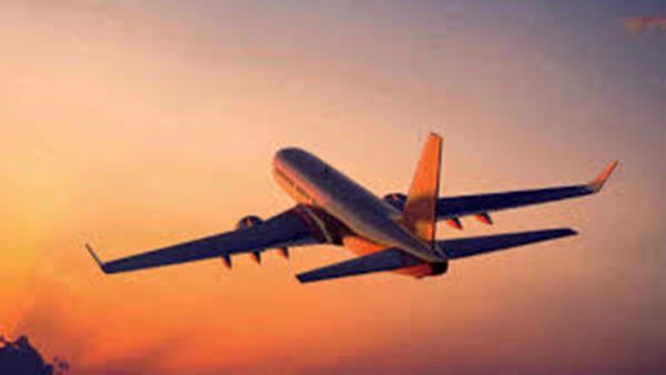 അച്ചാർ, കൊപ്ര, വെളിച്ചെണ്ണ, നെയ് ഇവയൊന്നും യുഎഇയിലേക്ക് കൊണ്ടുപോയിക്കൂടെ? അറിയണം ഇക്കാര്യങ്ങൾ ,ഇല്ലെങ്കിൽ പണി