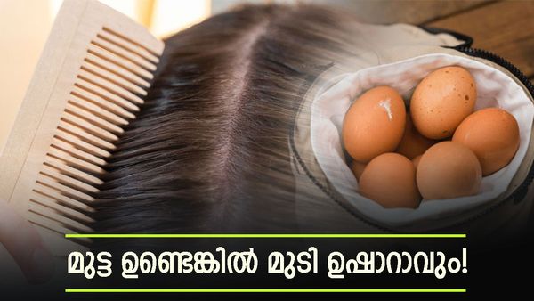 മുടിയാണ് മറക്കരുത്; മുട്ട ഉണ്ടെങ്കിൽ അടുക്കളയിൽ മാത്രമല്ല തലയിലും കാര്യമുണ്ട്, എങ്ങനെ ഉപയോഗിക്കാം?