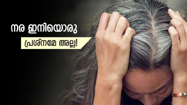 അകാല നര എല്ലാ സൗന്ദര്യവും കളയും, പ്രായവും തോന്നിപ്പിക്കും; പേടിക്കേണ്ട വഴിയുണ്ട്, ഈ ഭക്ഷണങ്ങൾ കഴിക്കൂ...