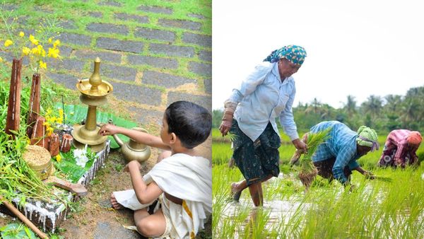 ഓണം, കേരളത്തിന്റെ വിളവെടുപ്പ് ഉത്സവത്തിന്റെ പരിണാമം; ചരിത്രവും കാർഷിക പശ്ചാത്തലവും അറിയാം