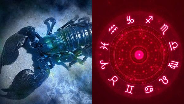 Today Horoscope: തൊഴിലിൽ പണി കിട്ടും, യാത്രയ്ക്കിടെ വിലപ്പെട്ടത് നഷ്ടപ്പെടും, കച്ചവടക്കാര്‍ക്ക് അധികലാഭം
