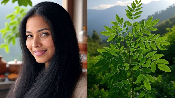 മുടി വളരാൻ വെറും 12 ആഴ്ചകൾ മാത്രം മതിയോ? ഇത് മുരിങ്ങയിലയുടെ മാജിക്, മുടി തഴച്ച് വളരും