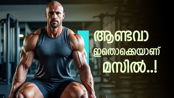 മസിലാണോ വേണ്ടത് അളിയാ; എങ്കിൽ മേലനങ്ങിയിട്ട് മാത്രം കാര്യമില്ല, ഈ ഹൈ-പ്രോട്ടീൻ ഭക്ഷണങ്ങളും പരീക്ഷിക്കൂ