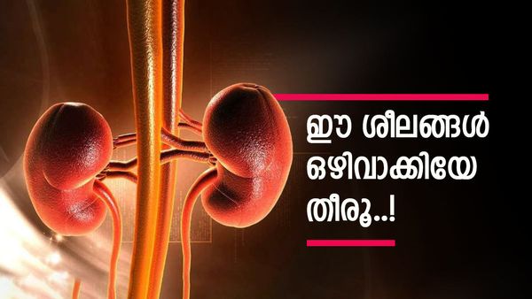 വൃക്കയുടെ ആരോഗ്യം ചെറിയ കാര്യമല്ല; ഈ ശീലങ്ങൾ എത്രയും പെട്ടെന്ന് മാറ്റിയില്ലെങ്കിൽ പണി കിട്ടും! എന്തൊക്കെ?