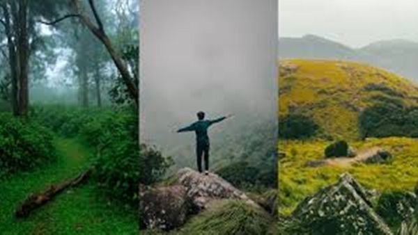 കോടയിറങ്ങുന്ന വാഗമണും പൊൻമുടിയും പോയാലോ; വെറും 520 രൂപ മുതൽ പാക്കേജ്..ശബരിമലയിലേക്ക് മകര വിളക്ക് പാക്കേജുകളും