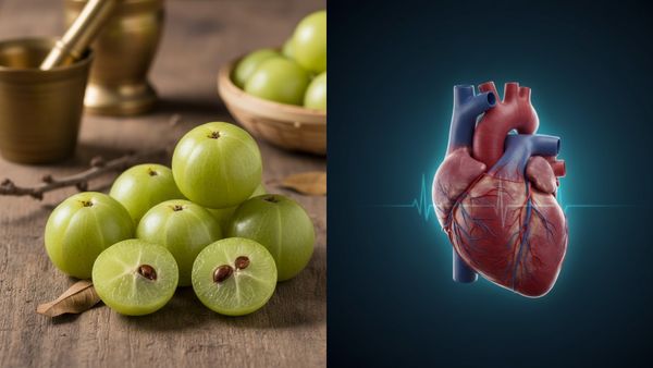 ആദ്യം കയ്ക്കും പിന്നെ മധുരിക്കും..; നെല്ലിക്ക ചില്ലറക്കാരനല്ല, ഇതുണ്ടെങ്കിൽ ഹൃദയത്തിന് വേറൊന്നും വേണ്ട!