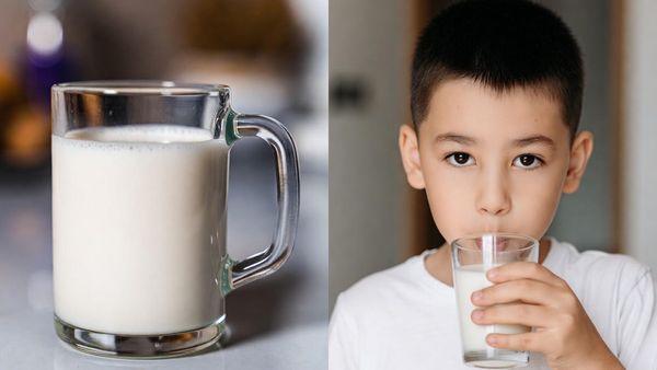 പാൽ സ്ഥിരമായി കുടിക്കുന്നത് ശരീരത്തിന് ദോഷമാണോ? പുതിയ പഠനം പറയുന്നത് ഇങ്ങനെ