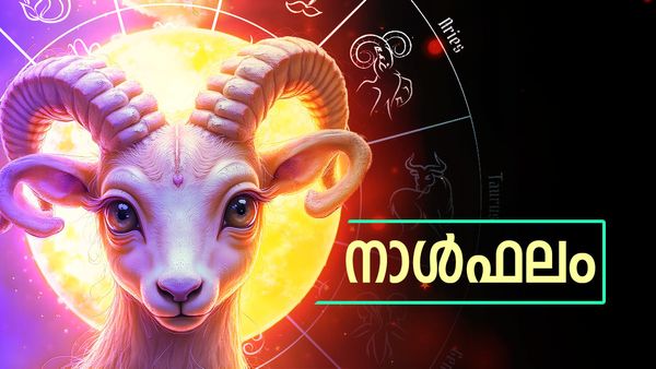 സാമ്പത്തിക അഭിവൃദ്ധിയും സല്‍കീര്‍ത്തിയും പുതിയ അവസരങ്ങളും, ദമ്പതികള്‍ തമ്മില്‍ കലഹം, നാൾഫലം