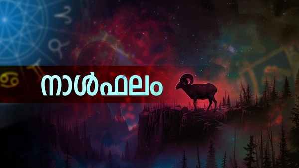  സാമ്പത്തിക നേട്ടങ്ങള്‍ വന്നുചേരും, പ്രണയ സാഫല്യമുണ്ടാകും, ഉയര്‍ന്ന സ്ഥാനപ്രാപ്തി, നാൾഫലം