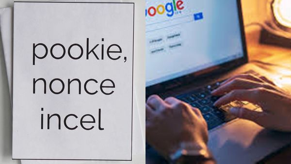  'പൂക്കി' മാത്രമല്ല, 2025 ൽ ആളുകൾ ഏറ്റവും കൂടുതൽ തിരഞ്ഞ സ്ലാങ് വേഡുകൾ ഇതൊക്കെയാണ്