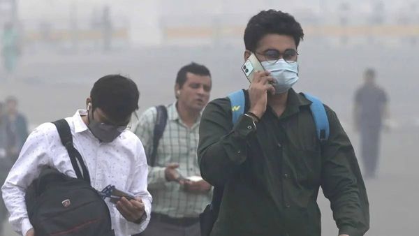 വായു മലിനീകരണത്തെ പ്രതിരോധിക്കാം; ശ്വാസകോശത്തെ സംരക്ഷിക്കുന്ന സൂപ്പര്‍ ഫുഡുകള്‍ ഇതാ