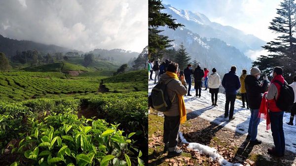 കോടമഞ്ഞും കുളിരും, ഡിസംബറിൽ ഈ സ്ഥലങ്ങൾ അതിസുന്ദരം, കേരളത്തിൽ എവിടെയൊക്കെ പോകാം?