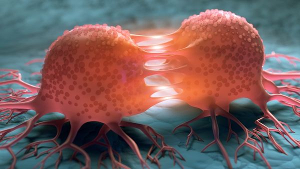 ശരീരത്തിൽ ഉണ്ടാകുന്ന ഈ മാറ്റങ്ങൾ തിരിച്ചറിയാം; കാൻസർ എന്ന ഭീകരനെ തുരത്താം