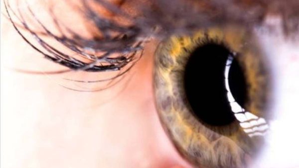 ഏതു നേരവും ഫോണില്‍; കണ്ണിന് വേണം അധികസംരക്ഷണം; കുട്ടികളുടെ ഭക്ഷണത്തില്‍ ഇവ ഉള്‍പ്പെടുത്തൂ