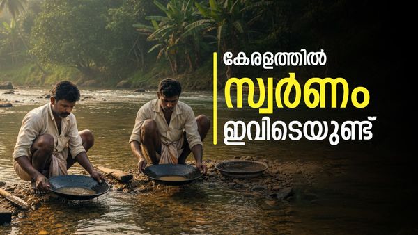 സ്വര്‍ണം ഇഷ്ടംപോലെയുണ്ട്; പക്ഷേ എടുക്കാനാകില്ല, കേരളത്തിലെ 3 ജില്ലകളിലെ നിധി