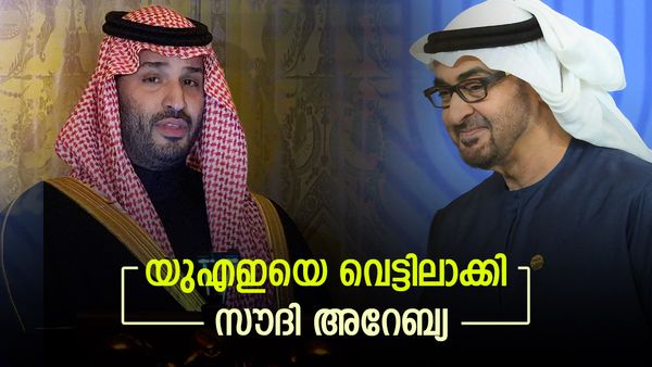 സൗദി അറേബ്യ വന്‍ നീക്കത്തിന്, യുഎഇ ഔട്ട്; ഈജിപ്തും സോമാലിയയും കൂട്ടുചേരും, കൂടെ വമ്പന്മാരും